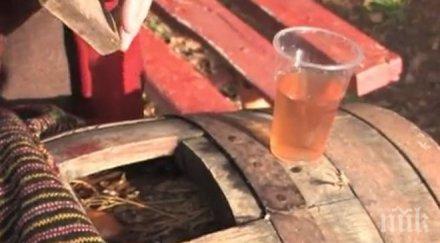 празник пелина село змейово