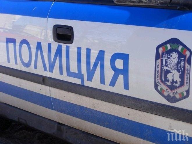 Кола уби овчар край българо-гръцката граница 