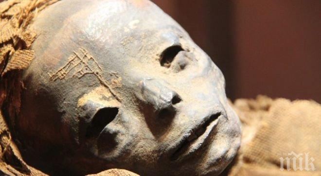 СУПЕР МИСТЕРИЯ! Откриха древна египетска мумия със следи от раково образувание