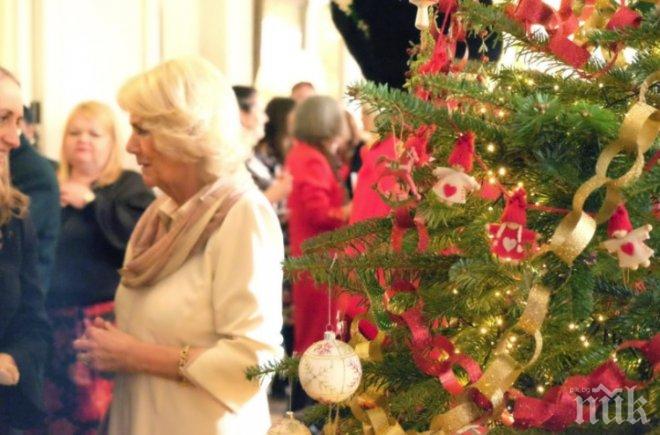 Вижте как британското кралско семейство внесе духа на Коледа в дома си (ВИДЕО/СНИМКИ)