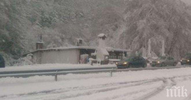 В Драгоман снежната покривка достигна 3 см, сняг вали във Враца, Монтана, Бургас и София