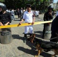 Трагедия! 13 загинали при катастрофа между микробус и камион в Египет