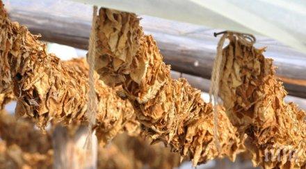 одобрени изменения цените тютюневите изделия