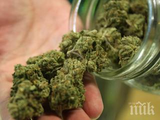 наркозимнина откриха буркани марихуана складирани пътя