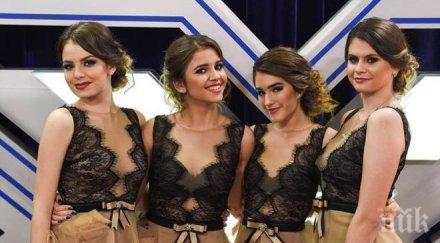 мацките magic предусещали успеха фактор