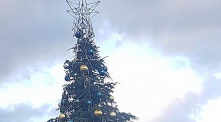 клетниците европа вижте елхата софия после лондон париж вилнюс снимки