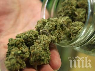 Наркозимнина: Откриха буркани с марихуана, складирани край пътя