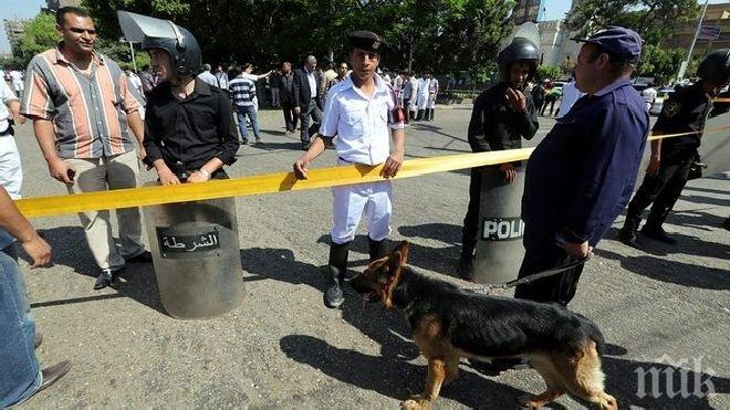 Трагедия! 13 загинали при катастрофа между микробус и камион в Египет