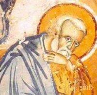 Кой има имен ден днес?