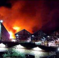 АД! Над 70 пожарникари се борят с огъня в Лондонския зоопарк