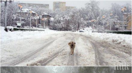 студ близо 200 души скрили кризисния център софия нощ