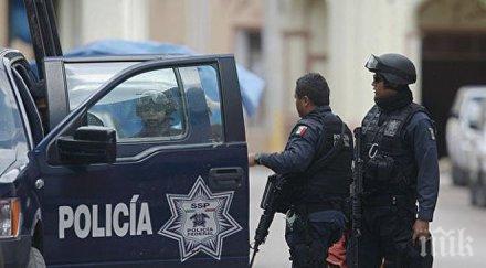 мексико задържаха предполагаем организатор убийство журналистка