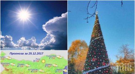 пик времето полудя живакът софия удари градуса коледа снимка