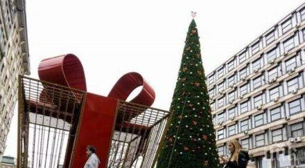 сърбия шок елха хиляди евро