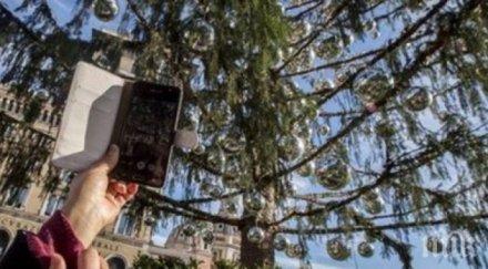 позор елхата рим изсъхна без дочака коледа