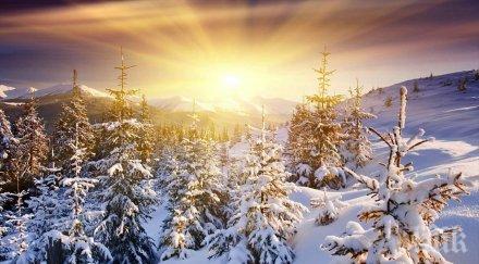 пролет коледа температурите скачат градуса