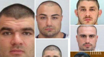 фалстарт делото божо кравата хората