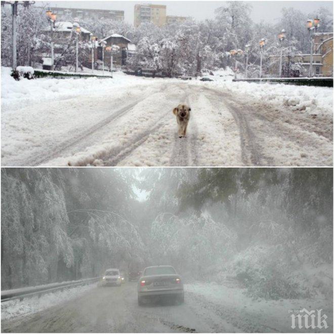 СТУД! Близо 200 души са се скрили в кризисния център в София тази нощ  