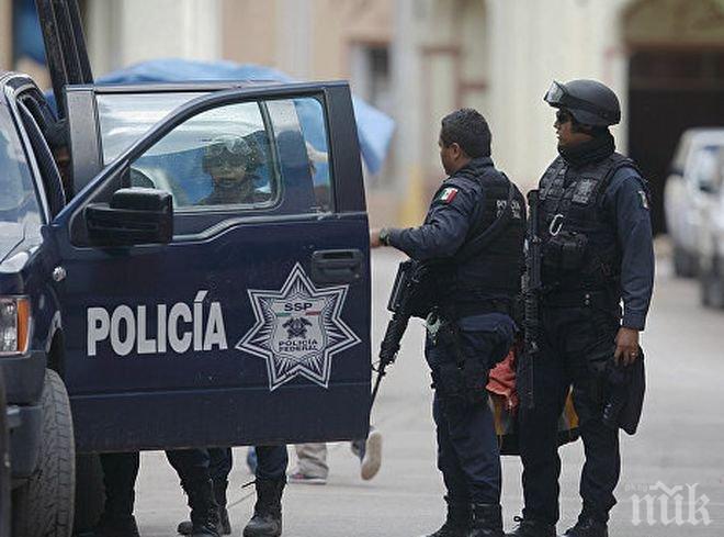 В Мексико задържаха предполагаем организатор на убийство на журналистка