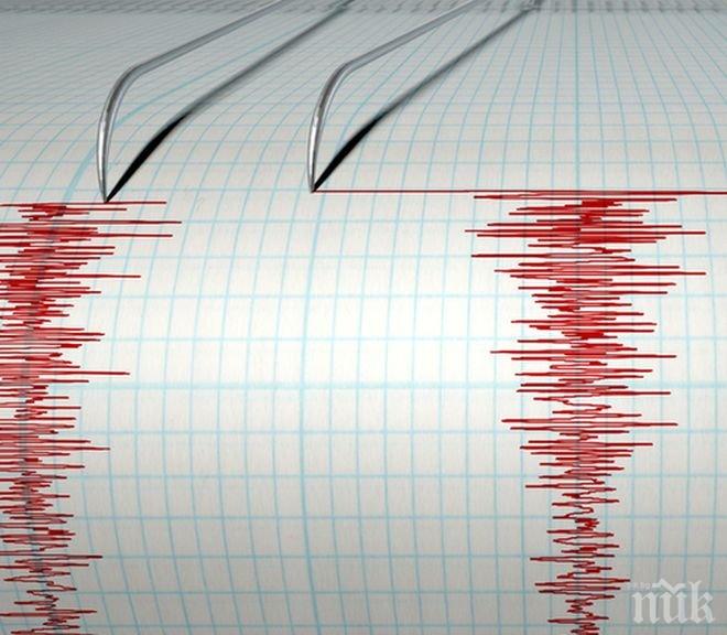 Земетресение с магнитуд 3.1 по Рихтер е било регистрирано в Алтай