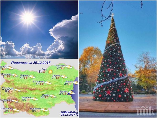 САМО В ПИК! Времето полудя! Живакът в София удари 16 градуса на Коледа (СНИМКА)