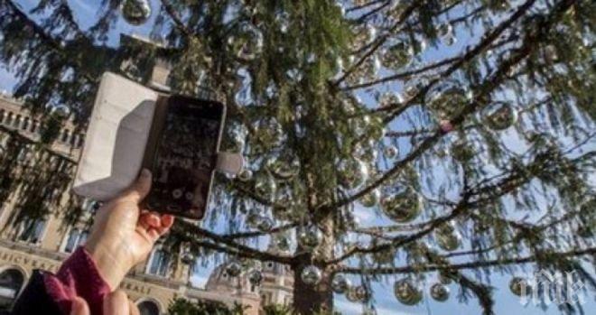 ПОЗОР! Елхата в Рим изсъхна, без да дочака Коледа