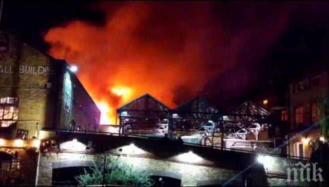 АД! Над 70 пожарникари се борят с огъня в Лондонския зоопарк