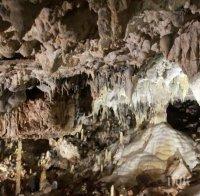 Затвориха пещерата Лепеница заради зимния сън на прилепите