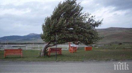 около хил домакинства канада останаха без ток заради силен вятър