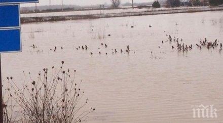 труп мъж намерен река марица подозира мигрант