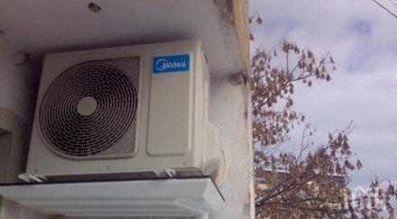 полезно пестите лесно ток