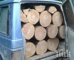 конфискуваха незаконни дърва две видински села