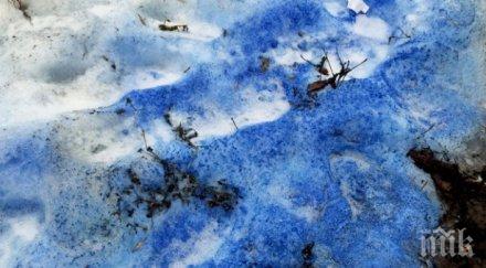 аномалия син сняг заваля санкт петербург снимки