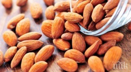 лесно храни правят умни