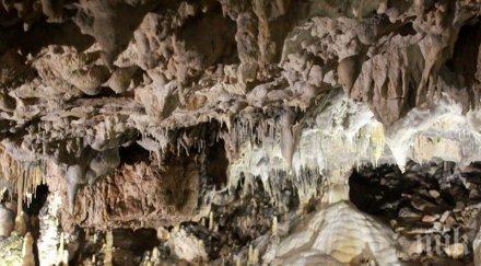 затвориха пещерата лепеница заради зимния сън прилепите