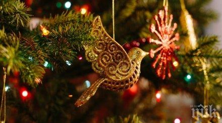 рециклираме коледната елха празниците