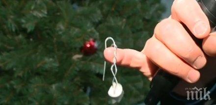 апаши свиха играчките елхите центъра пловдив видео