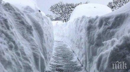 ледена епоха пенсилвания наваля близо метър сняг ден