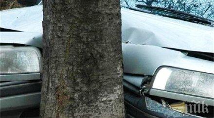мъртвопиян шофьор заби дърво дядо почина удара