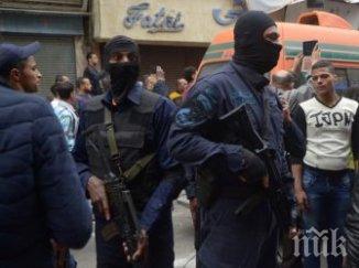 милост египет екзекутираха души нападение силите сигурност