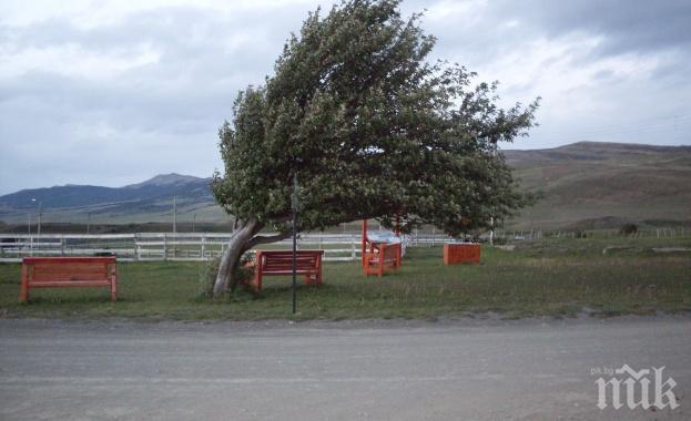 Около 90 хил. домакинства в Канада останаха без ток заради силен вятър