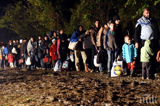 Спипаха 340 мигранти, напиращи да влязат в България и Гърция