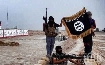 РАЗГРОМ! В Ирак и в Сирия остават по-малко от 1000 терористи от Ислямска държава