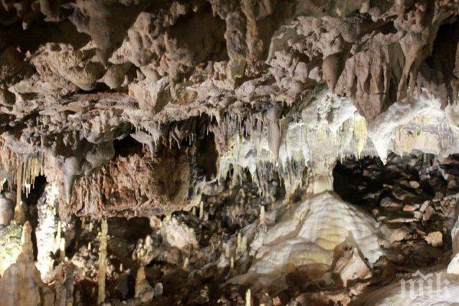 Затвориха пещерата Лепеница заради зимния сън на прилепите