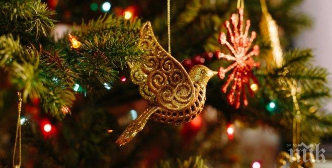 Как да рециклираме коледната си елха след празниците?