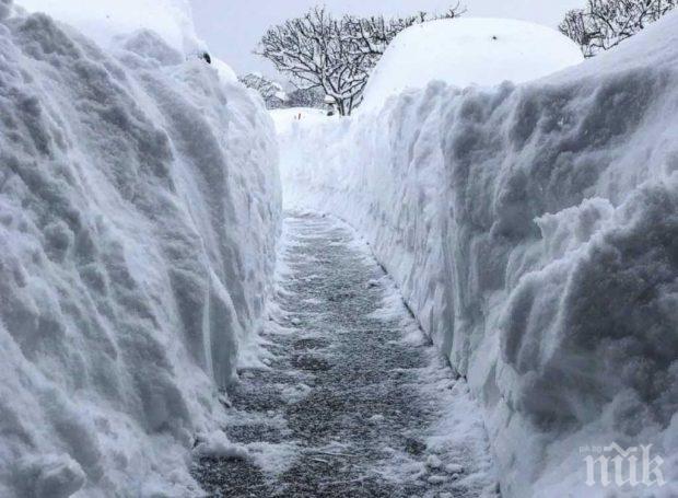 ЛЕДЕНА ЕПОХА! В Пенсилвания наваля близо метър сняг за ден