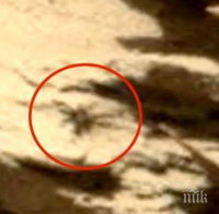 МИСТЕРИЯ! Откриха огромен паяк на Марс (ВИДЕО)