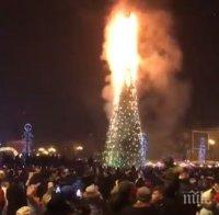 Смениха изгорялата новогодишна елха в центъра на Новосахалинск с нова