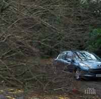 Бурята „Елинор“ връхлетя Великобритания с пориви от 160 км/ч