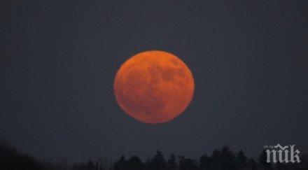 явление синя кървава луна съчетаят края януари